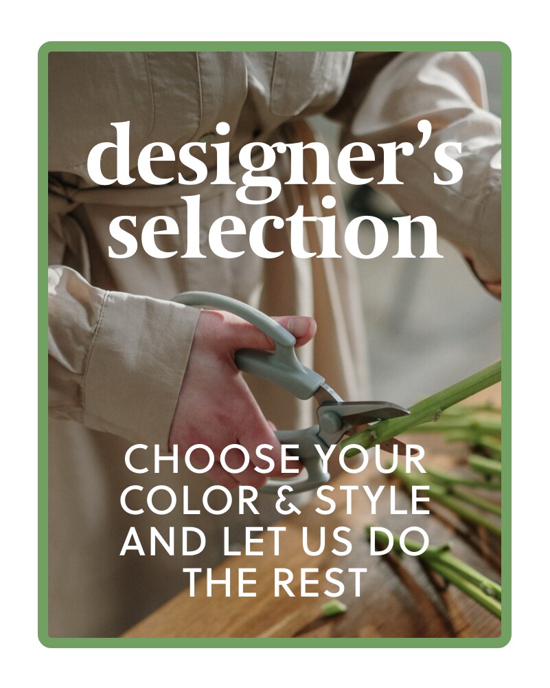 Designer's Choice